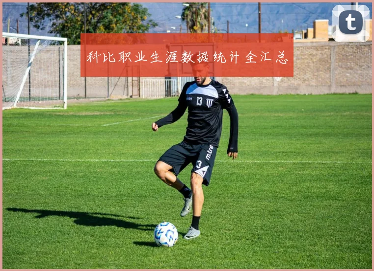 科比职业生涯数据统计全汇总