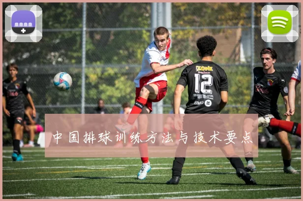 中国排球训练方法与技术要点